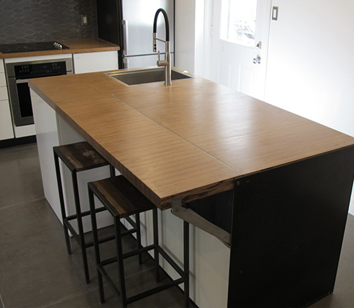 Rénovation générale (Plateau Mont-Royal) - 25point4