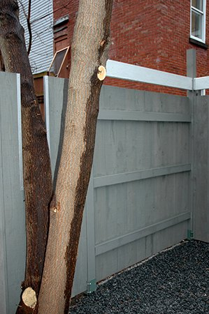 Clôture de cour arrière et accès au garage (Rue Fabre, Montréal).